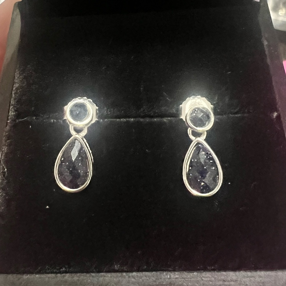 Elegant Silver and Blue Teardrop Earrings